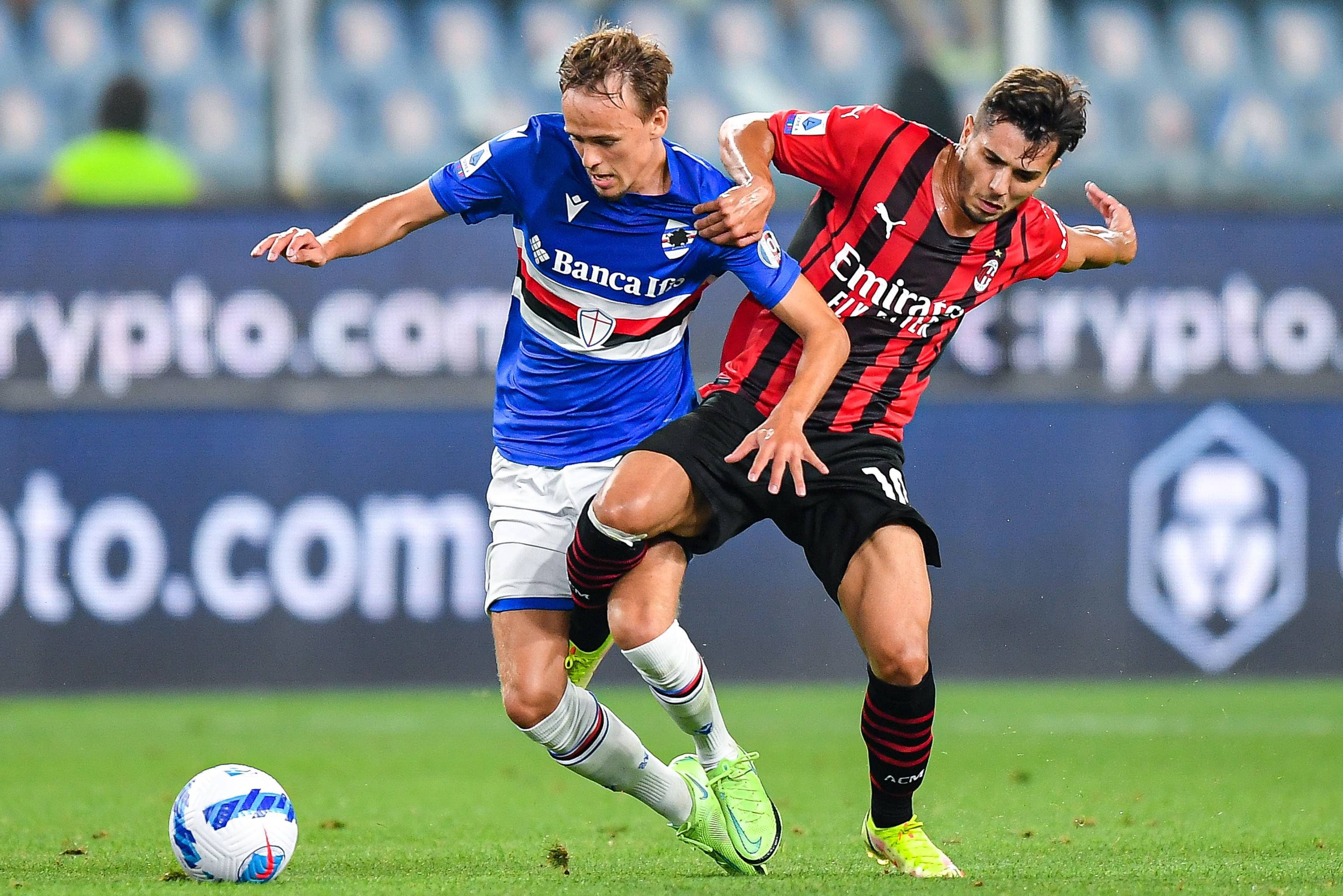 起了资深篮 起了资深篮