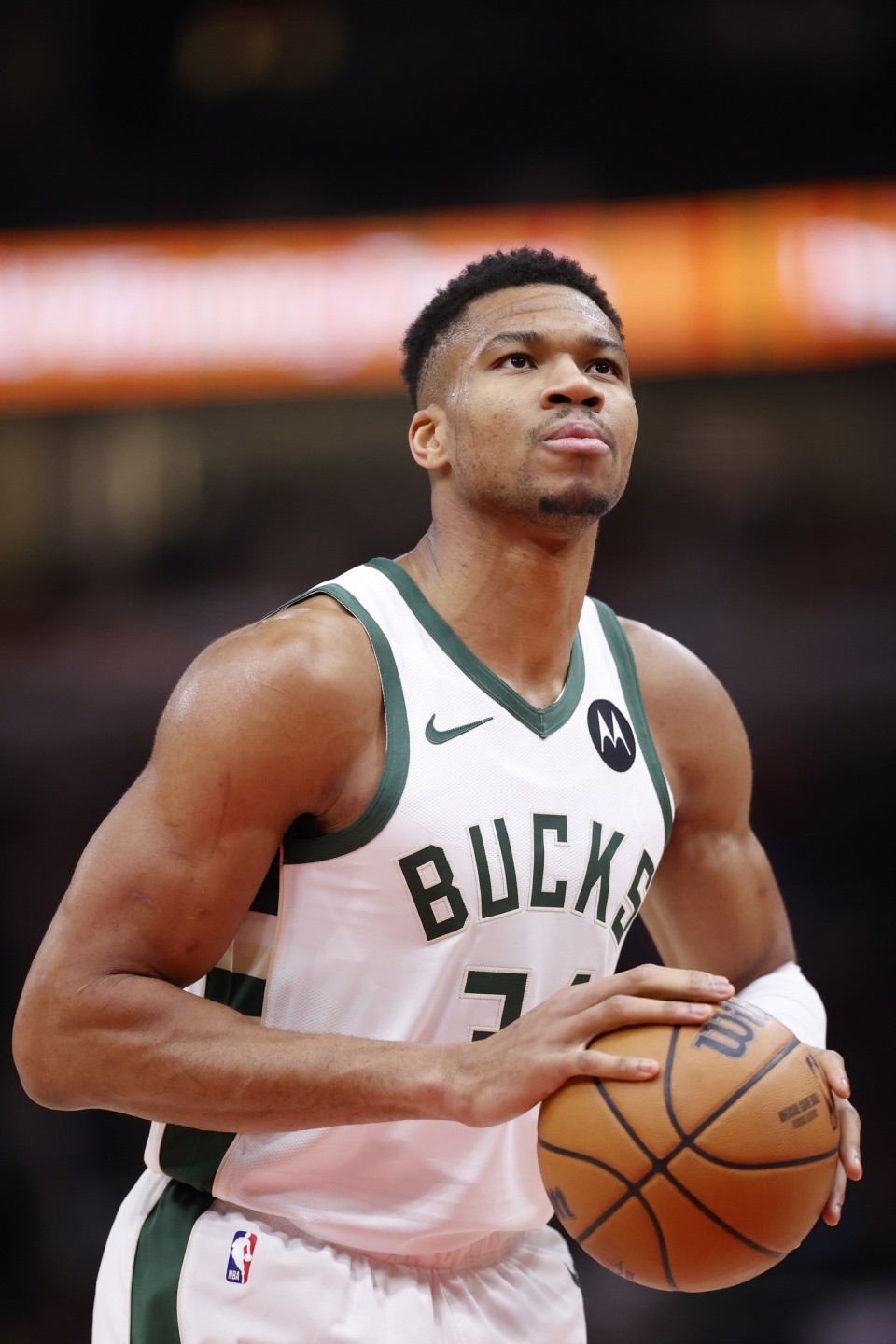 牌龙逼团 牌龙逼团